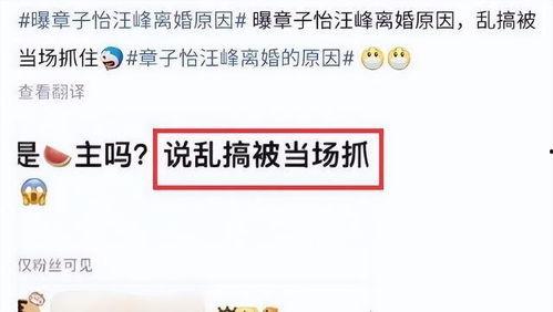 刘大锤爆料婚变视频大全,揭秘娱乐圈夫妻背后的真相 第3张 刘大锤爆料婚变视频大全,揭秘娱乐圈夫妻背后的真相 第3张