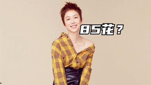 刘大锤最新爆料85花,85花明星幕后惊人真相