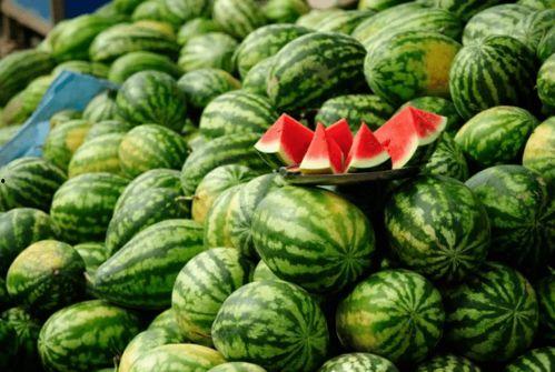 快手哪个网红吃瓜,揭秘快手网红吃瓜达人背后的故事 第2张 快手哪个网红吃瓜,揭秘快手网红吃瓜达人背后的故事 第2张